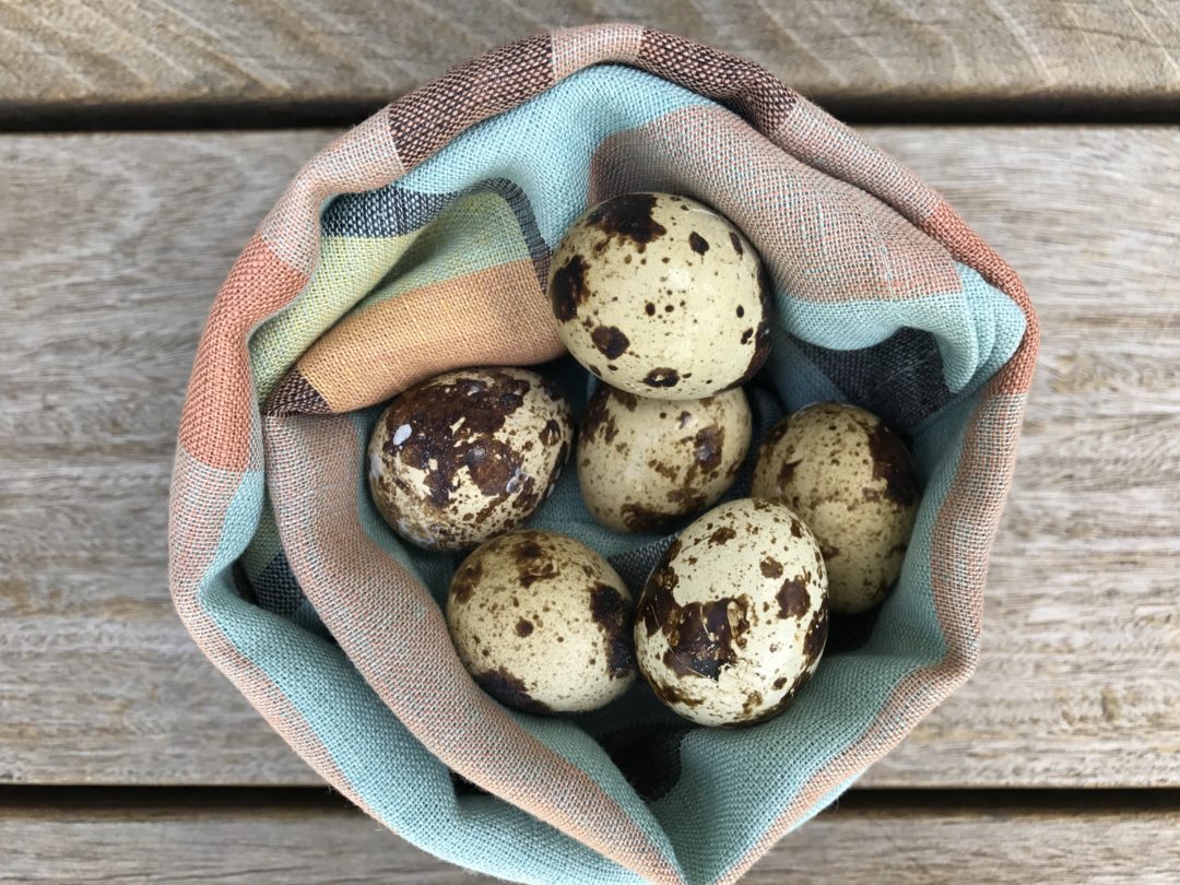 What To Do With Quail Eggs