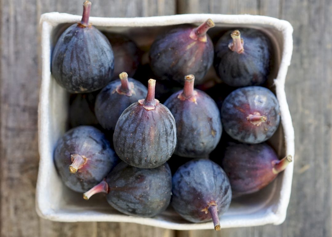 Fresh Fig Compliment Cheese This Fall