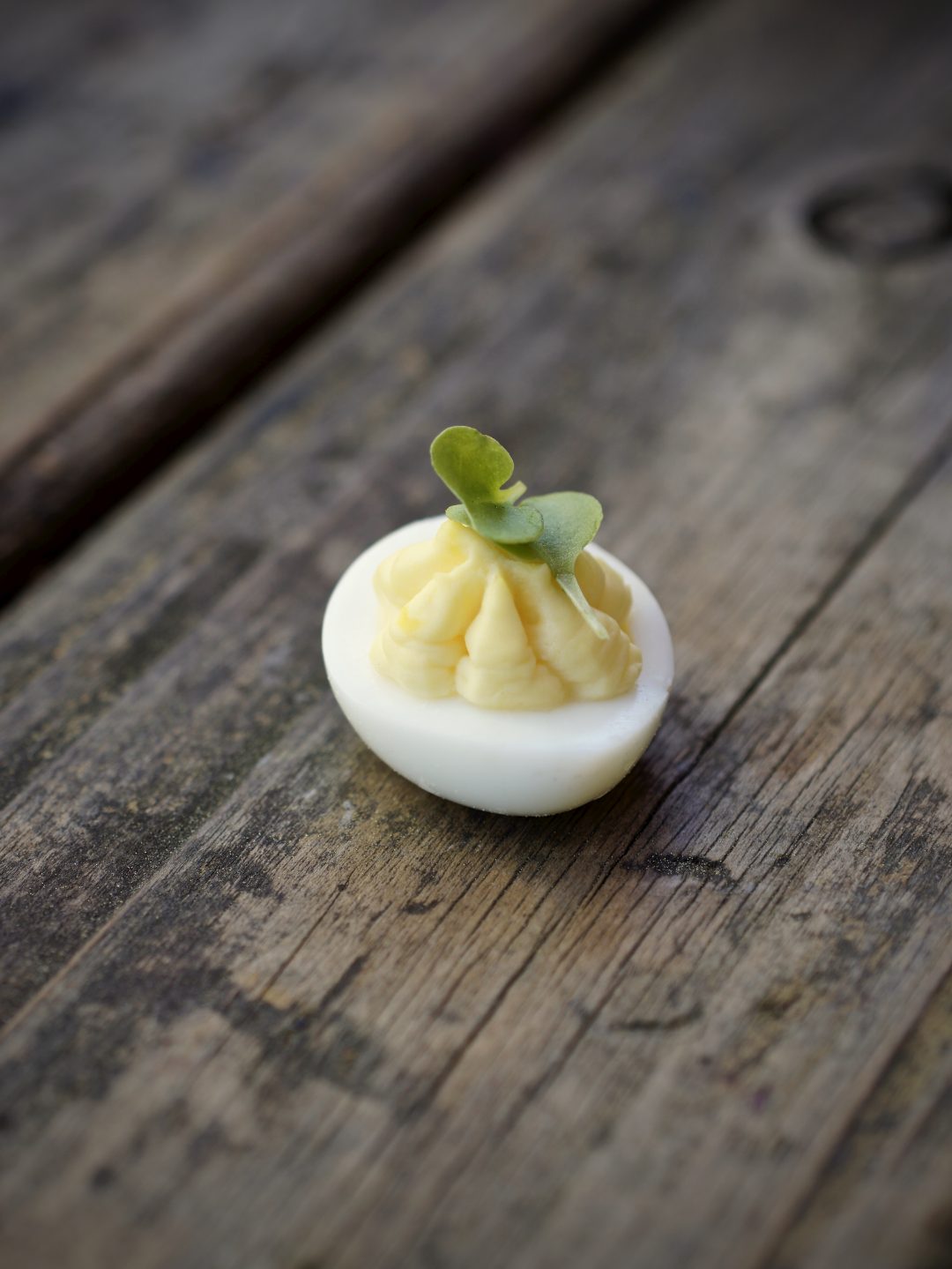 Truffled Quail Eggs SIMMER + SAUCE