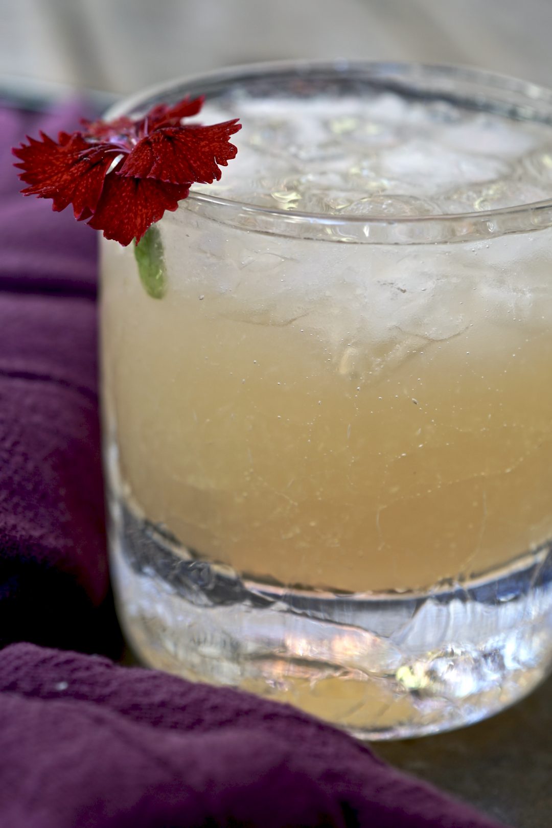 gin grapefruit cocktail recipe